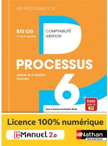 Processus 6 - Analyse de la situation financière - BTS CG 1re et 2e années - Coll. Les processus CG - Ed. 2017