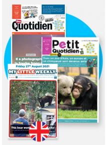 Offre intégrale primaire numérique : Le Petit Quotidien, Mon Quotidien et la version anglaise My Little Weekly - Licence par établissement - 12 mois