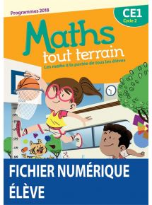 Maths tout terrain CE1 2020 Licence 1 an