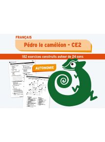 Pedro le caméléon (classeur)