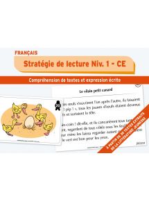 Stratégie de lecture Niveau 1