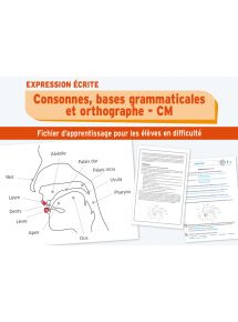 Consonnes, bases grammaticales et orthographe CM1-CM2