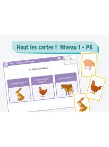 Haut les cartes Niveau 1 - PS