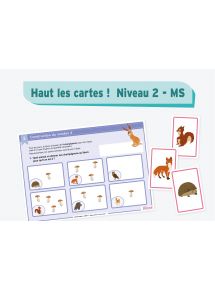 Haut les cartes Niveau 2 - MS