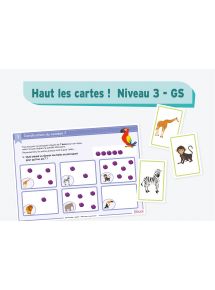 Haut les cartes Niveau 3 - GS