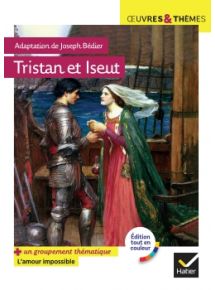 Licence par enseignant - 12 mois