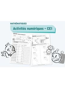 Activités numériques CE1