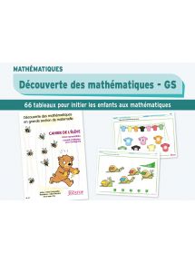 Découverte des mathématiques GS