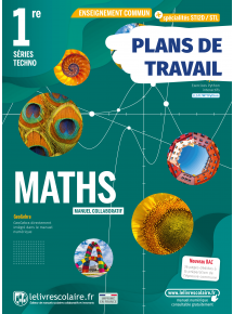 Plans de travail Mathématiques 1re - Technologique - licence 1 an