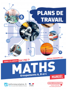 Plans de travail Mathématiques Tle - Pro - licence 1 an